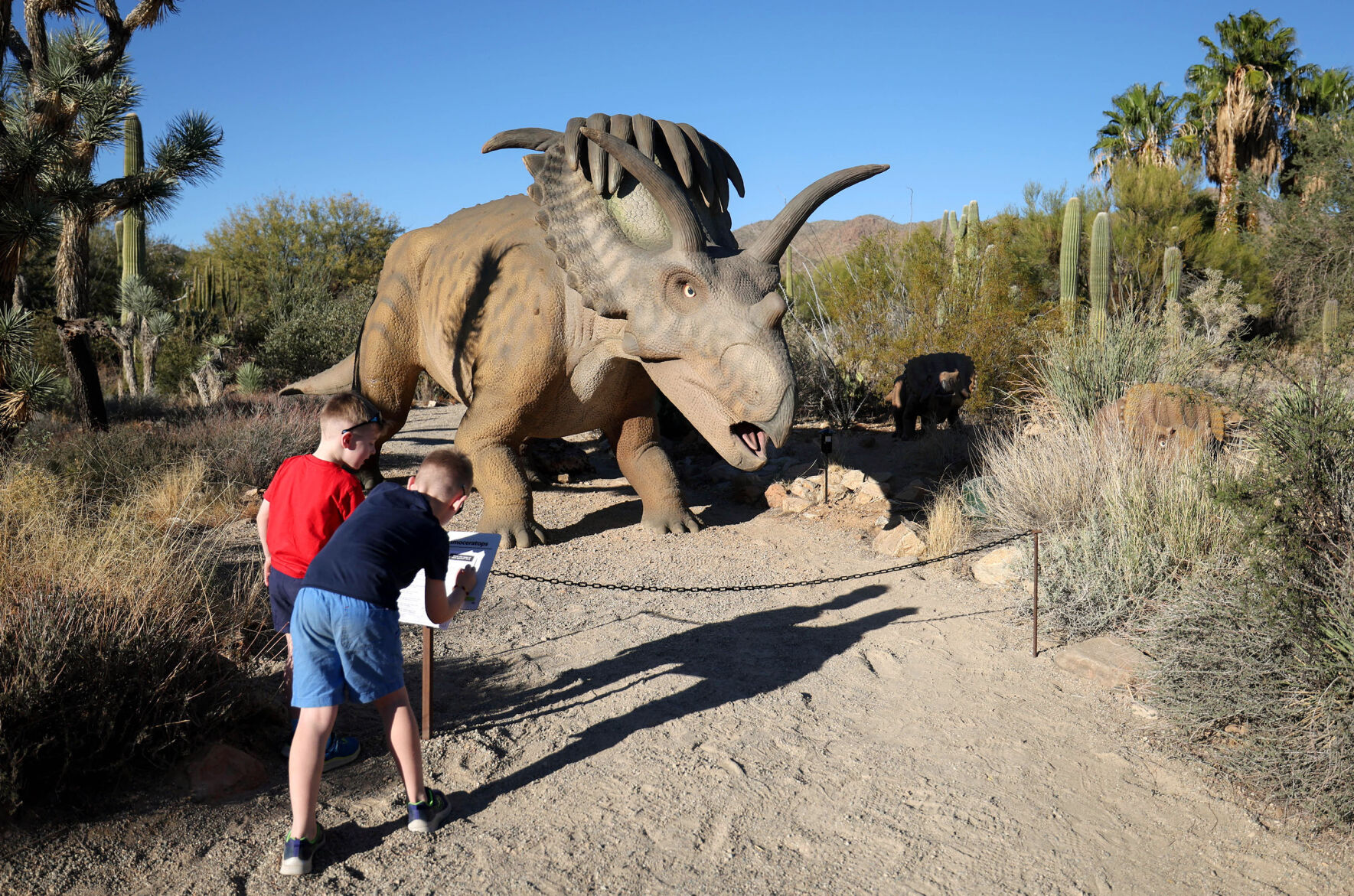 ÃÛèÖÖ±²¥-Sonora Desert Museum